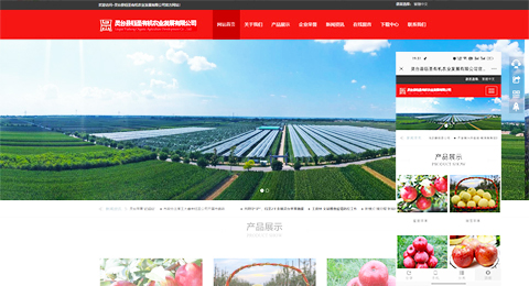 企業(yè)網(wǎng)站、程序軟件App解決方案